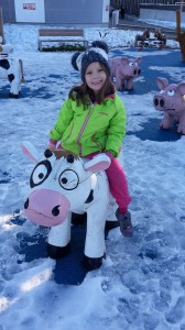 2016-01-23 15.32.54