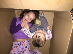2017-01-10 07.51.16 544-IMG_2656